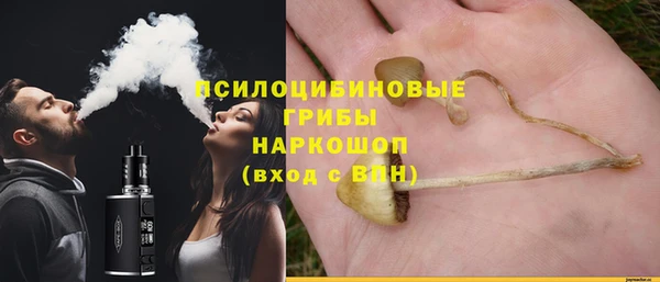 молекула духа Алексин
