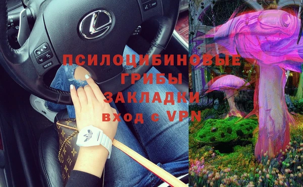 дживик Алексеевка