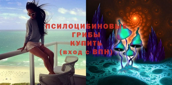 молекула духа Алексин