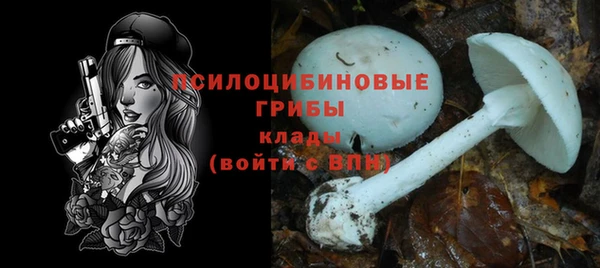 молекула духа Алексин
