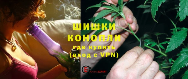индика Алзамай